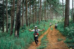 BIB: 
                            <button type="button" onclick="openModal(25661884)" class="btn btn-primary btn-sm float-right btn-popup" data-toggle="modal" data-target=".modal-high-quality">
                        <i class="fas fa-shopping-cart"></i> Add to Cart
                    </button>
                                            <button type="button" onclick="isThisMe(25661884, true)" class="btn btn-success btn-sm float-right btn-popup btn-isme hidden" data-toggle="tooltip" data-placement="bottom" title="นี่คือรูปของคุณใช่ไหม คลิกที่นี่เพื่อเอาเข้าอัลบั้ม">
                        <i class="fas fa-plus"></i> Add to album
                    </button>
                    <button type="button" onclick="isThisMe(25661884, false)" class="btn btn-warning btn-sm float-right btn-popup btn-isnotme hidden">
                        <i class="fas fa-ban"></i> Remove from album
                    </button>